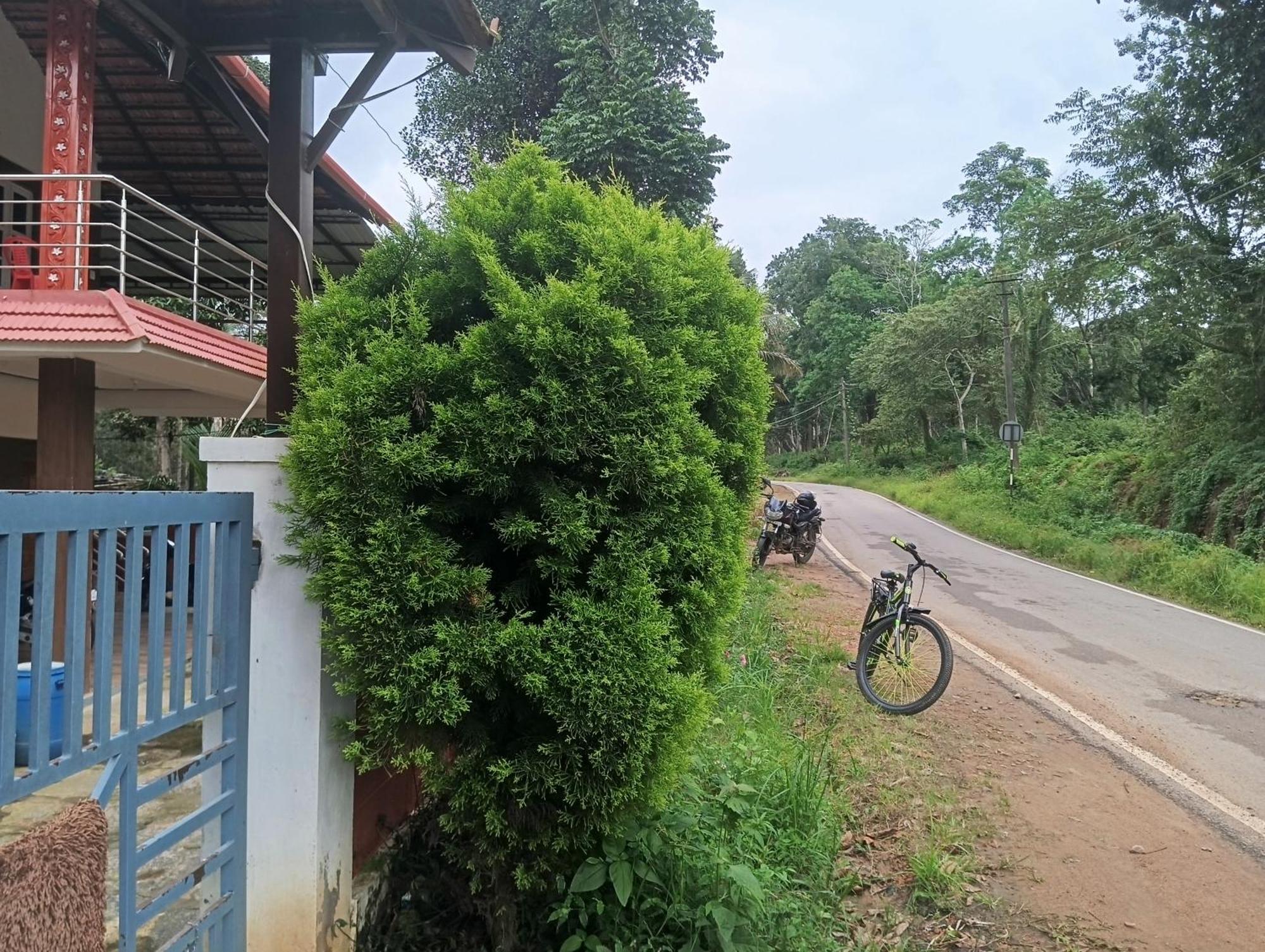 Vila Elephant Path Coorg 3Bhk Suntikoppa Exteriér fotografie